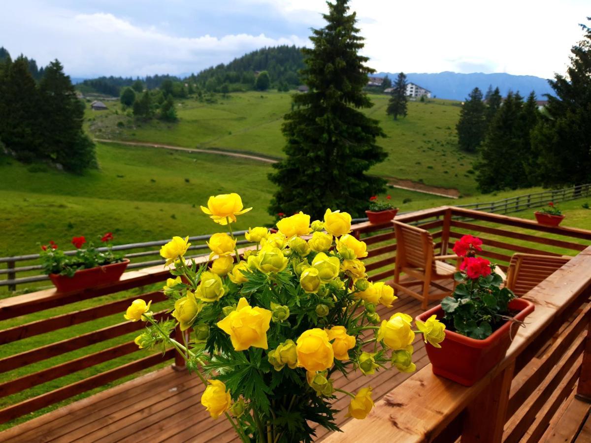La Vulturi Bed & Breakfast Fundata Exterior foto